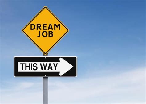 5 Insights To Help You Find Your Dream Job The Tiger
