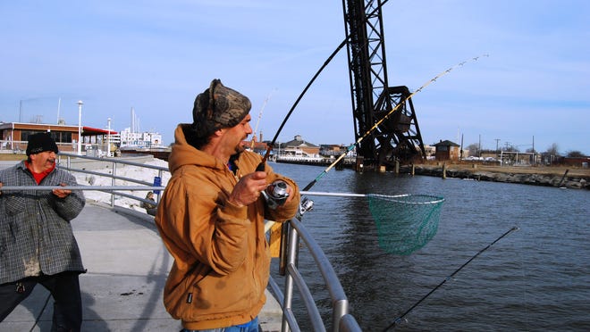 Anglers Catching Early Season Steelhead Walleye Anglers Catching Early Season Steelhead Walleye
