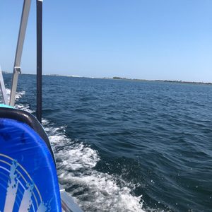 Bay Point Water Sports 13 Photos 4601 Us 98 Panama City Fl Yelp