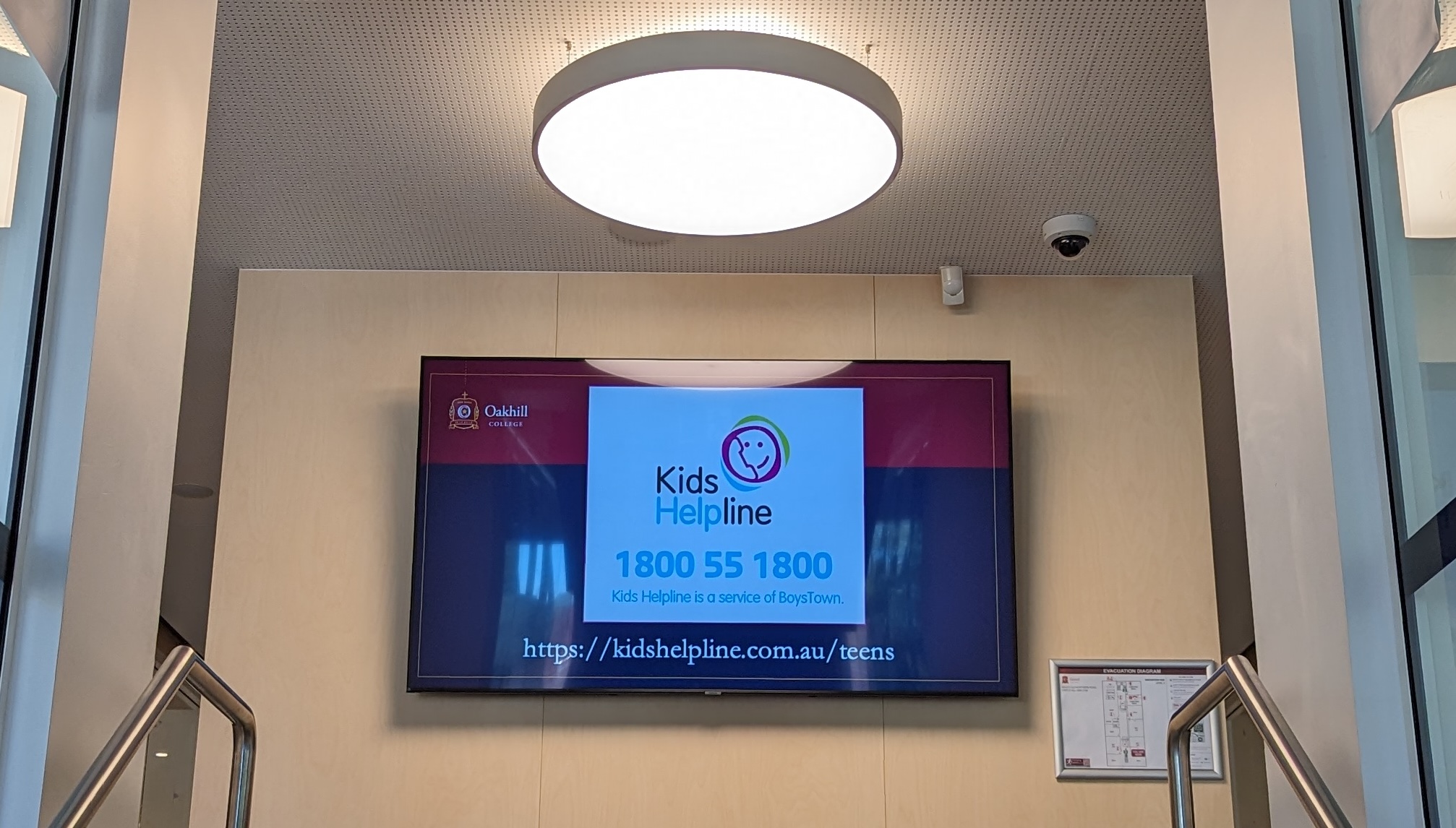 Best Sports Betting Apps In The Us Your 2025 Guide