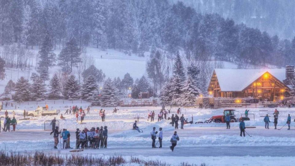 Big Bear Ice Arena Denver Your Winter Wonderland Awaits