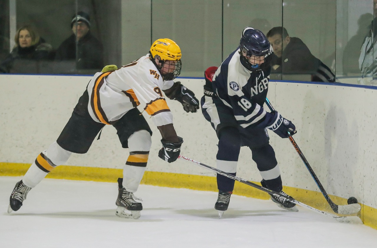 Boys Ice Hockey Pingry Shuts Out Watchung Hills On January 21 2023
