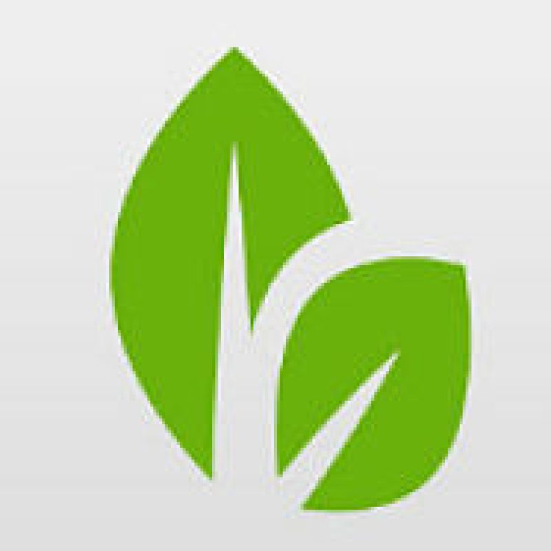 Burnaby Lake Sports Complex: Your Ultimate Fitness Hub