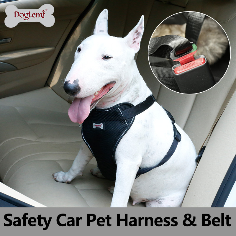 Car Dog Harnesses The Best Car Dog Harnesses For Safety Car Dog Harnesses The Best Car Dog Harnesses For Safety