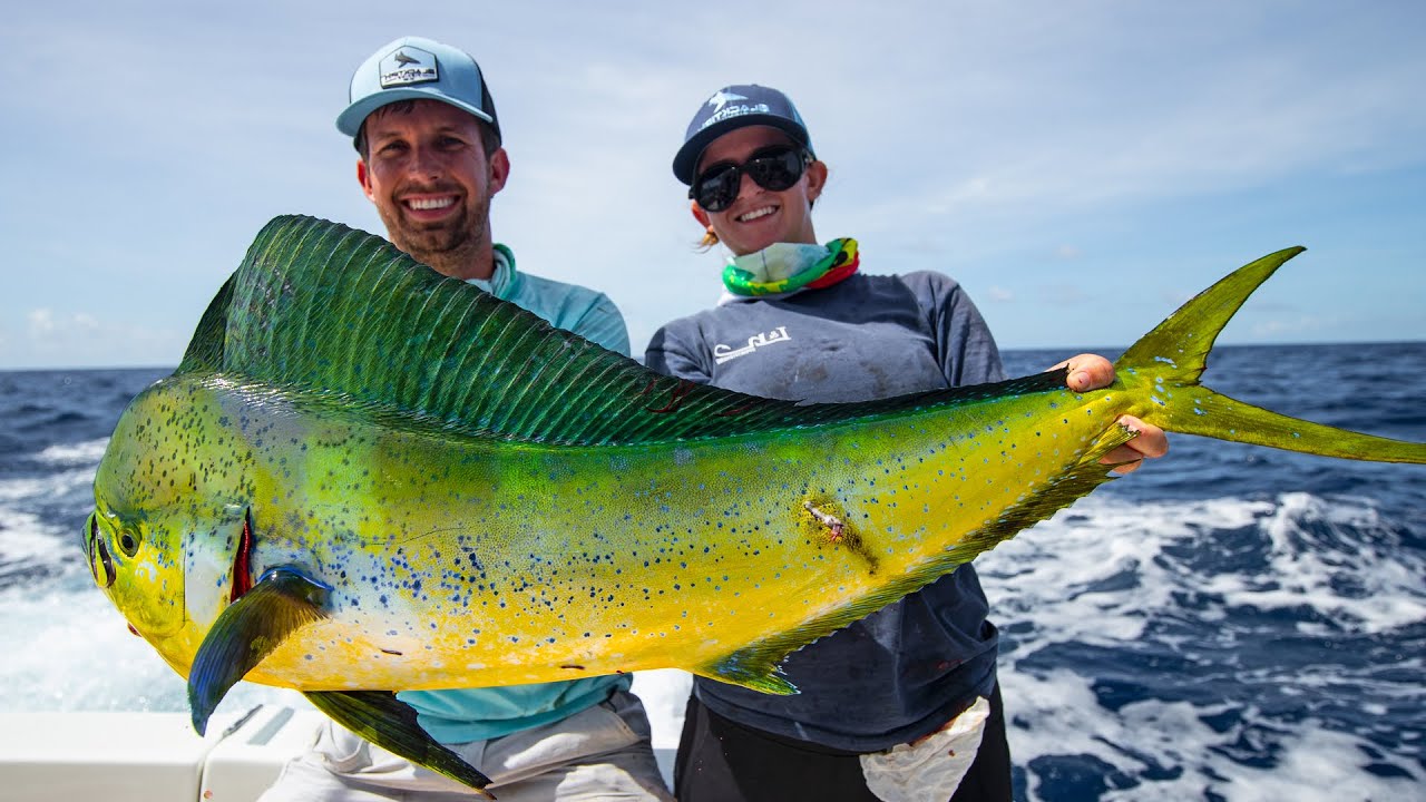Deep Sea Fishing In Miami Dolphin Wahoo Amberjacks And Tripletail Deep Sea Fishing In Miami Dolphin Wahoo Amberjacks And Tripletail