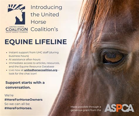 Equine Emergency And Disaster Preparedness United Horse Coalition