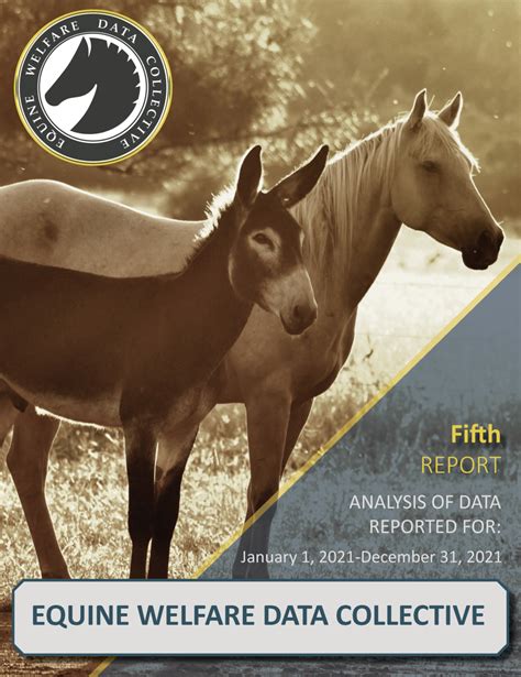 Equine Welfare Data Collective Releases Fifth Data Report United