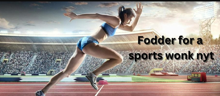 Sports Wonk's Ultimate Fodder Guide: Dive In!