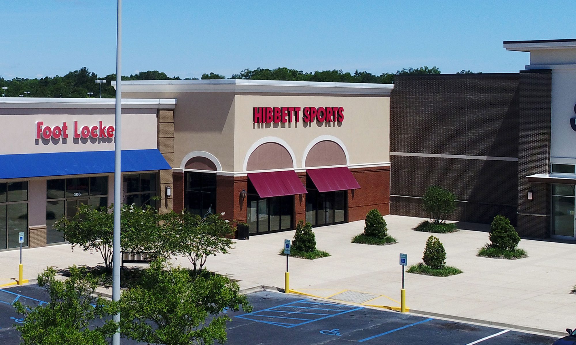 Best Football Gloves at Hibbett Sports: Top Picks & Deals