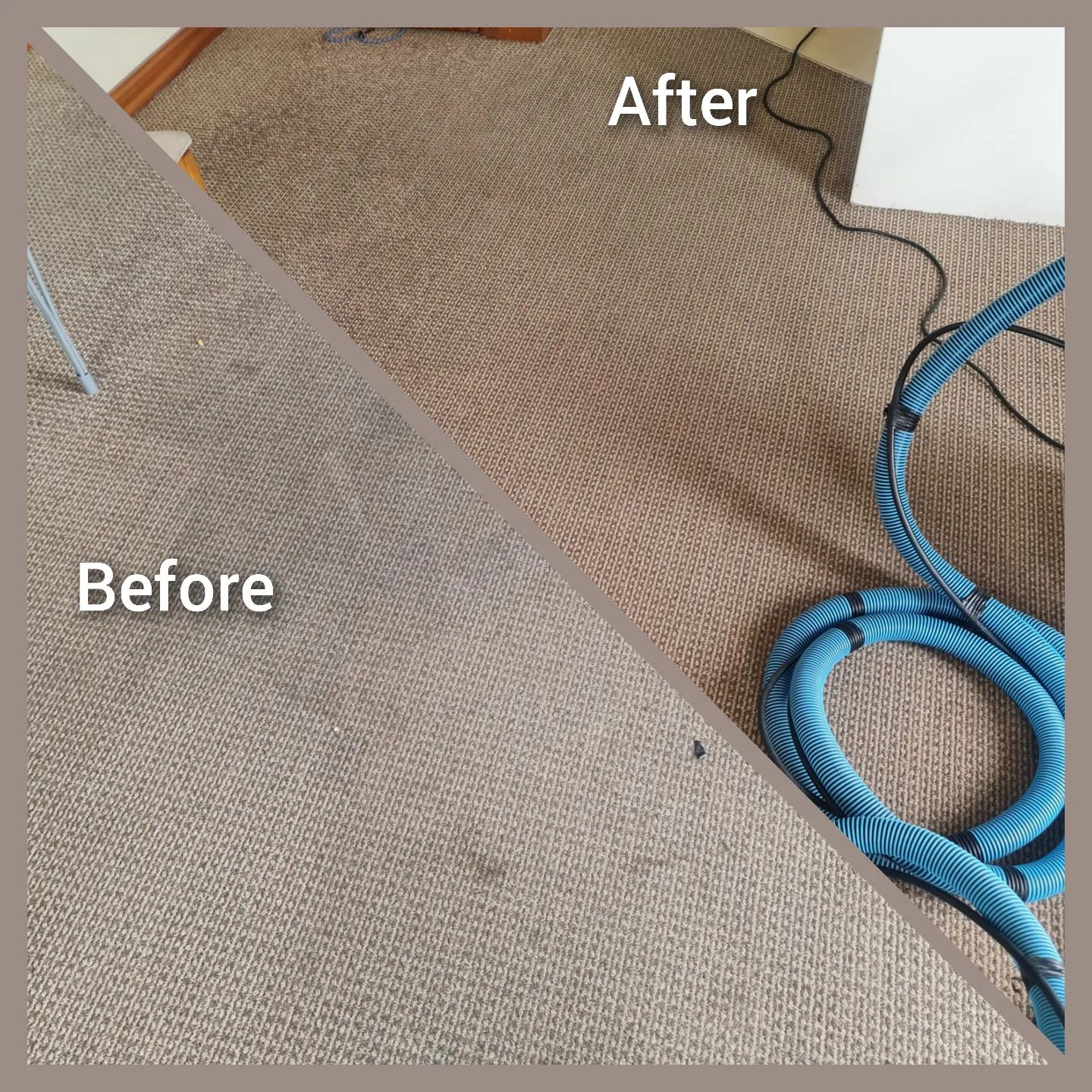 Go Carpet Cleaning S Guide To Understanding Carpet Fibers Tips For