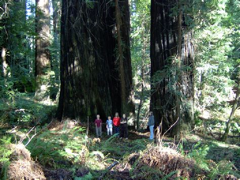 Grundman S Sporting Goods Rio Dell Calif 2 75 Wildwood A Frank