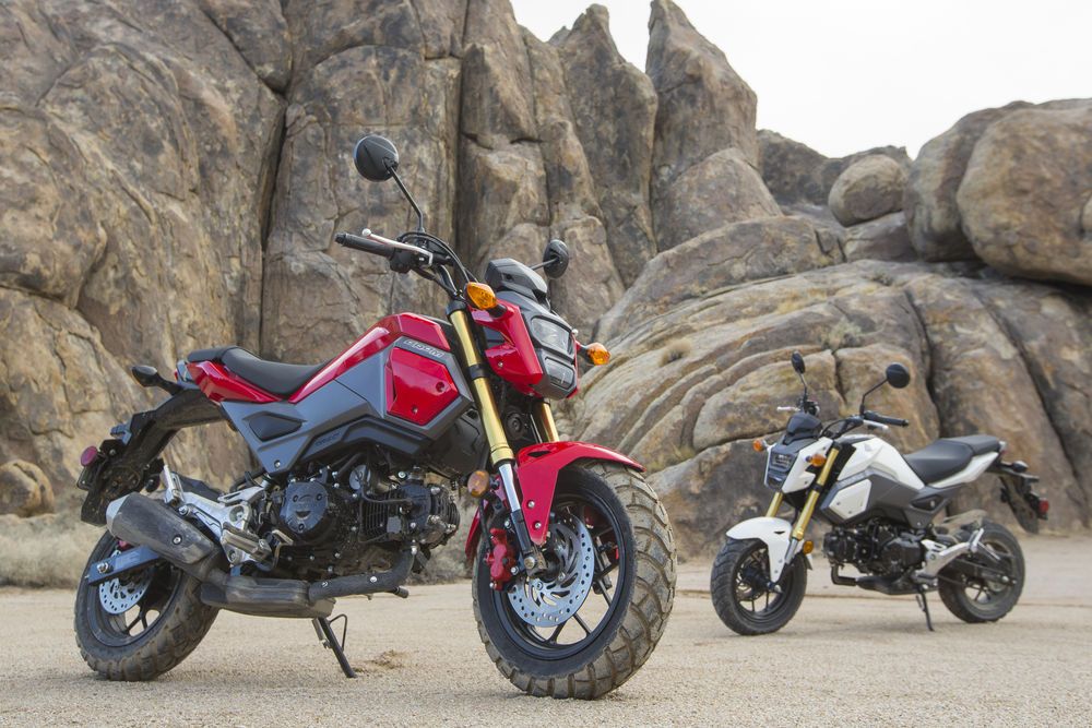 Best Dual Sport Tires for Honda Grom