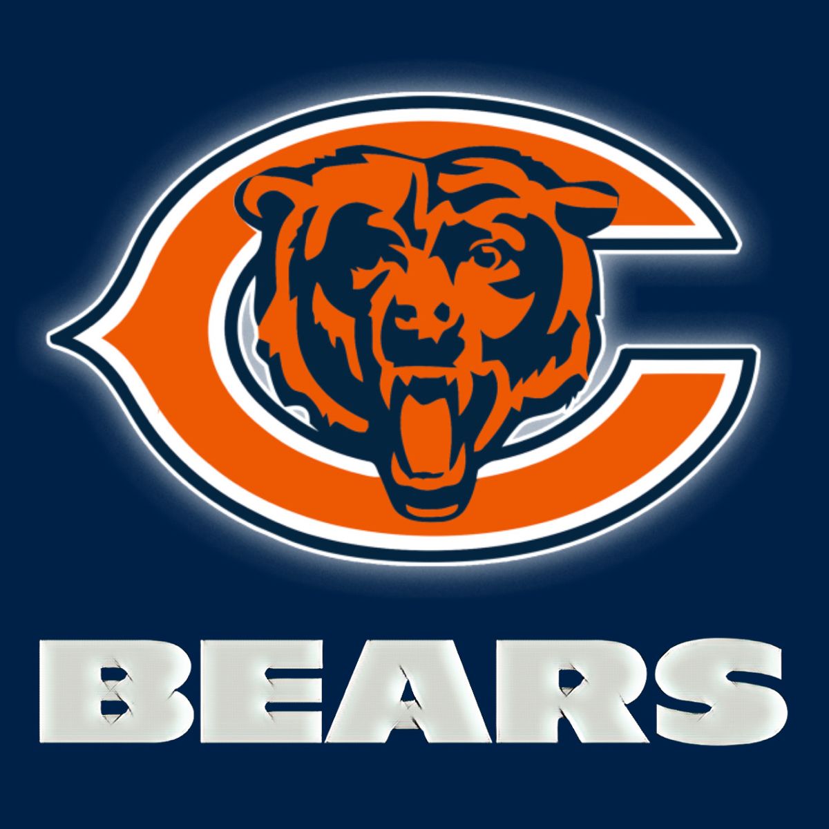 Jarden Sports 2017 Nfl Chicago Bears Commemorative Football Jarden Sports 2017 Nfl Chicago Bears Commemorative Football