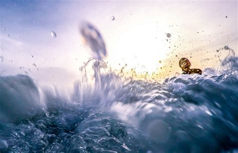 Lumbermen's Timber Treading Water Sport Rules Explained