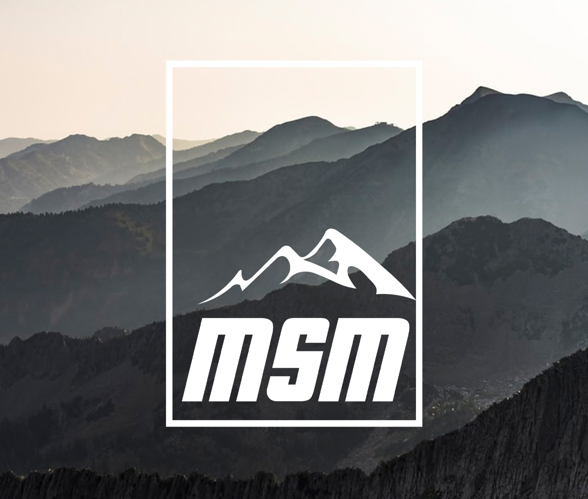 MSM Sport: Top Trends and Highlights of the Week