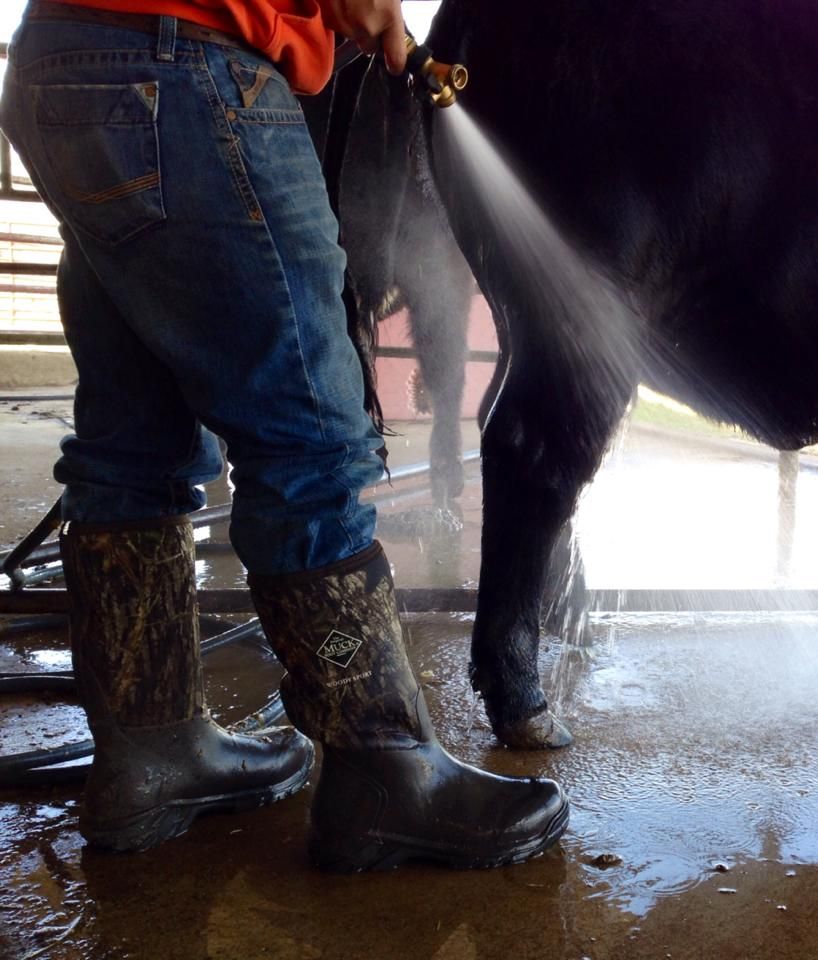 Muck Boot Woody Sport Cool Muck Boot Company Boot Companies Muck