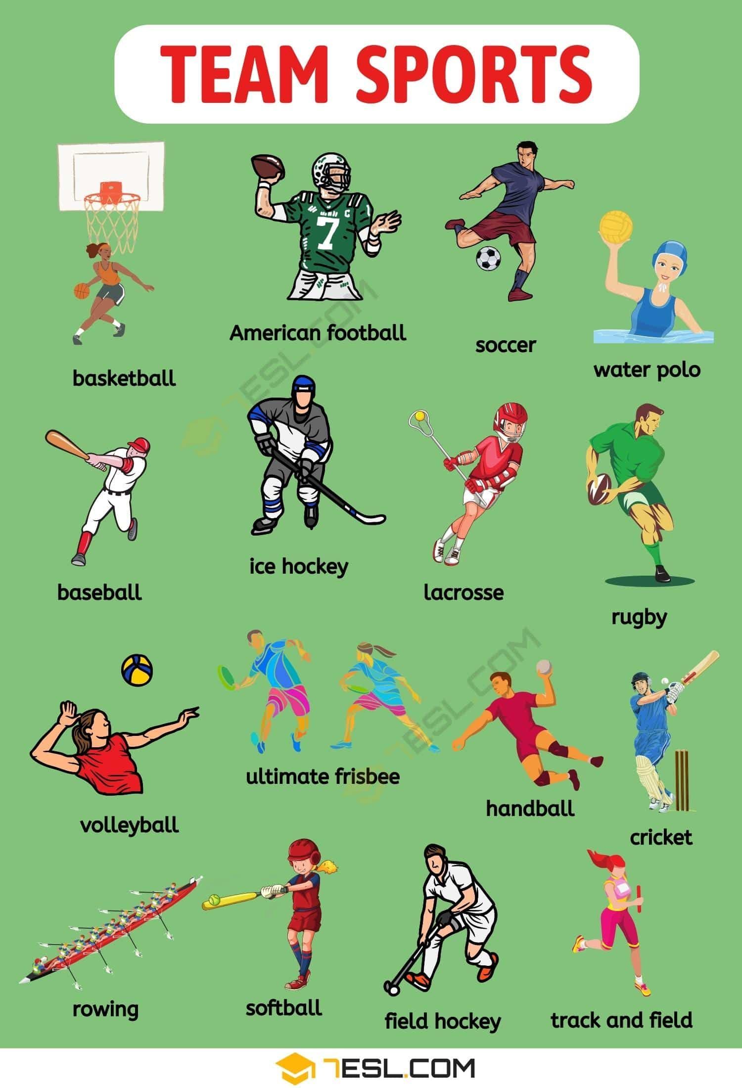 My Team Sports: Uniting Passion, Skill, and Camaraderie