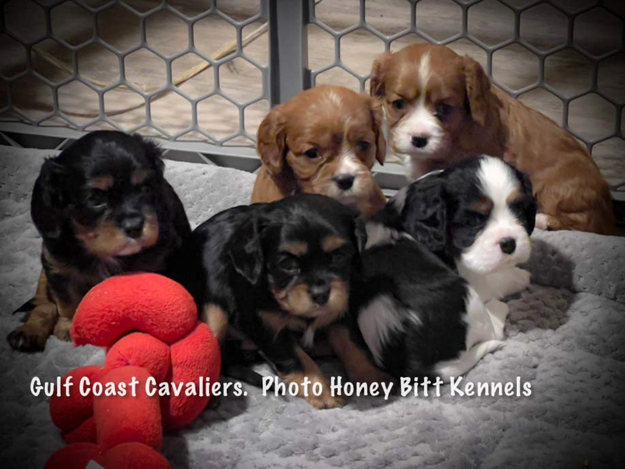 Power Center Sports Complex Lake Charles Gulf Coast Youth Soccer Club