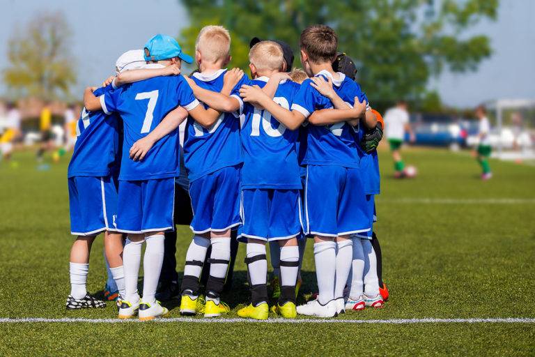 Phoenix Professional Sports Teams: A Complete Guide Phoenix Professional Sports Teams: A Complete Guide