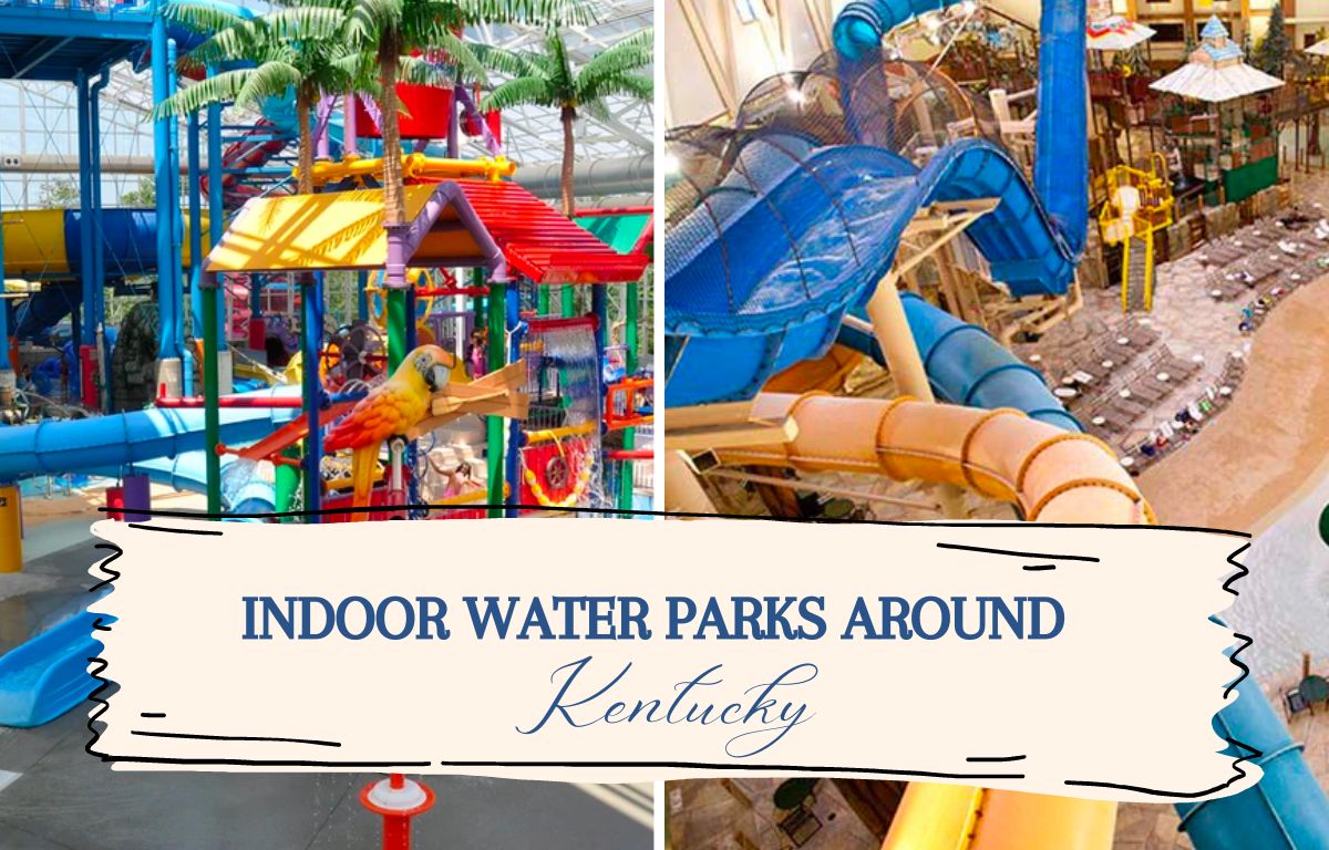 Splash Into Spring Break 7 Indoor Water Parks Near Toledo