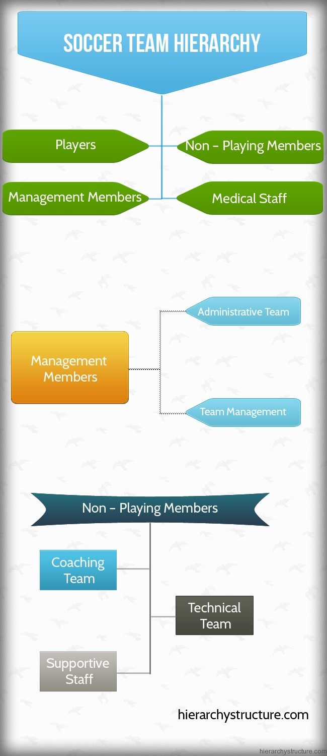 Sports Team Hierarchy Organizational Structure Of A Professional Sports Team Hierarchy Organizational Structure Of A Professional