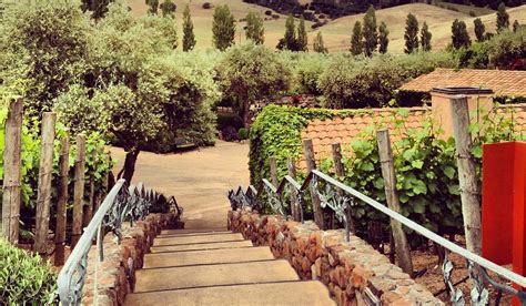 The 30 Best Places To Visit In Novato 2025 Must See Attractions